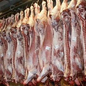 Productos cárnicos