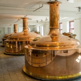 Productos cerveceras