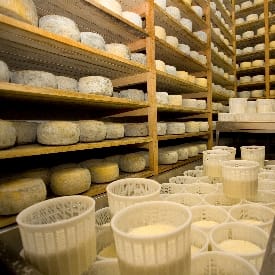 Higiene de productos lácteos