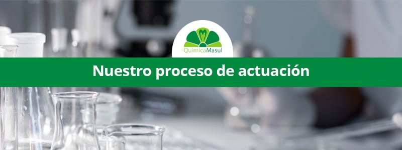 Nuestro proceso de actuación