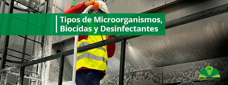 tipos-de-microorganismos-biocidas-y-desinfectantes