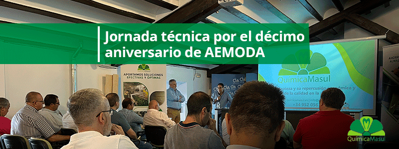 Jornada-tecnica-por-el-decimo-aniversario-de-AEMODA