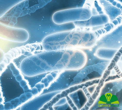 La-importancia-del-tratamiento-de-la-Legionella